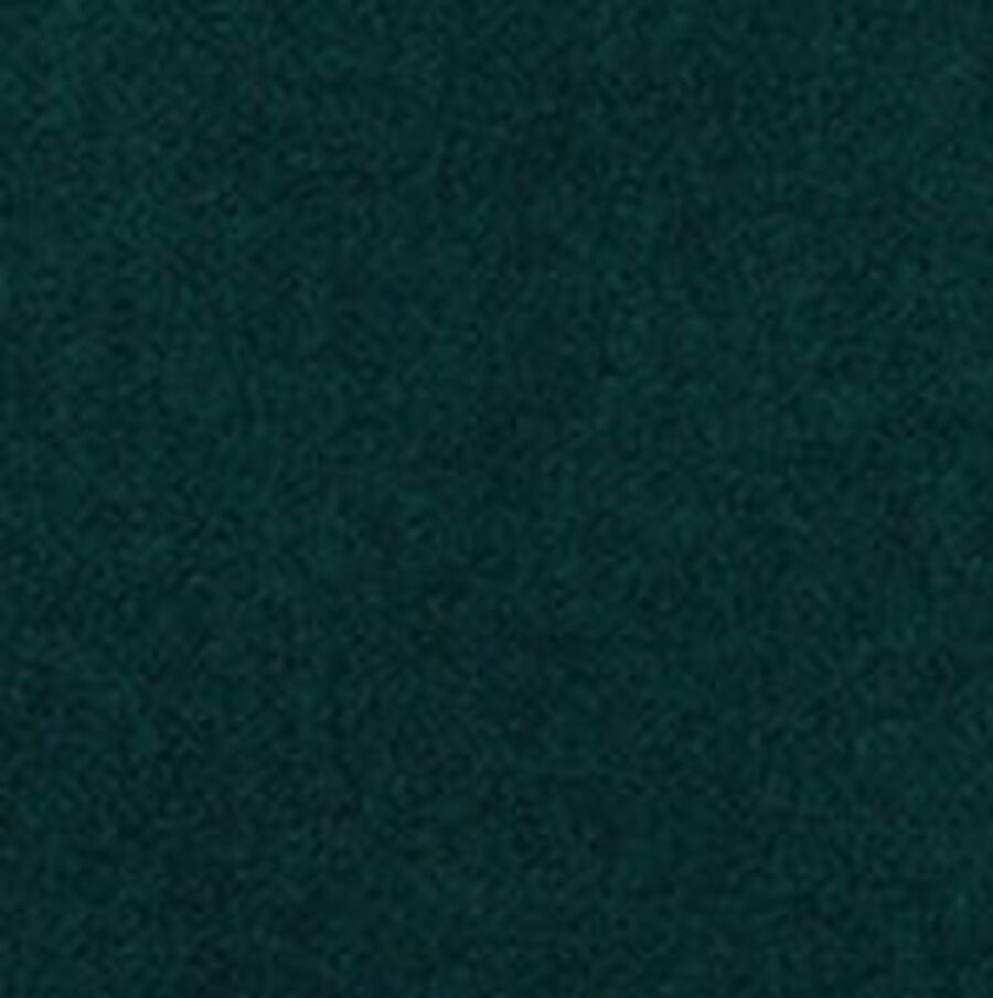 Color swatch