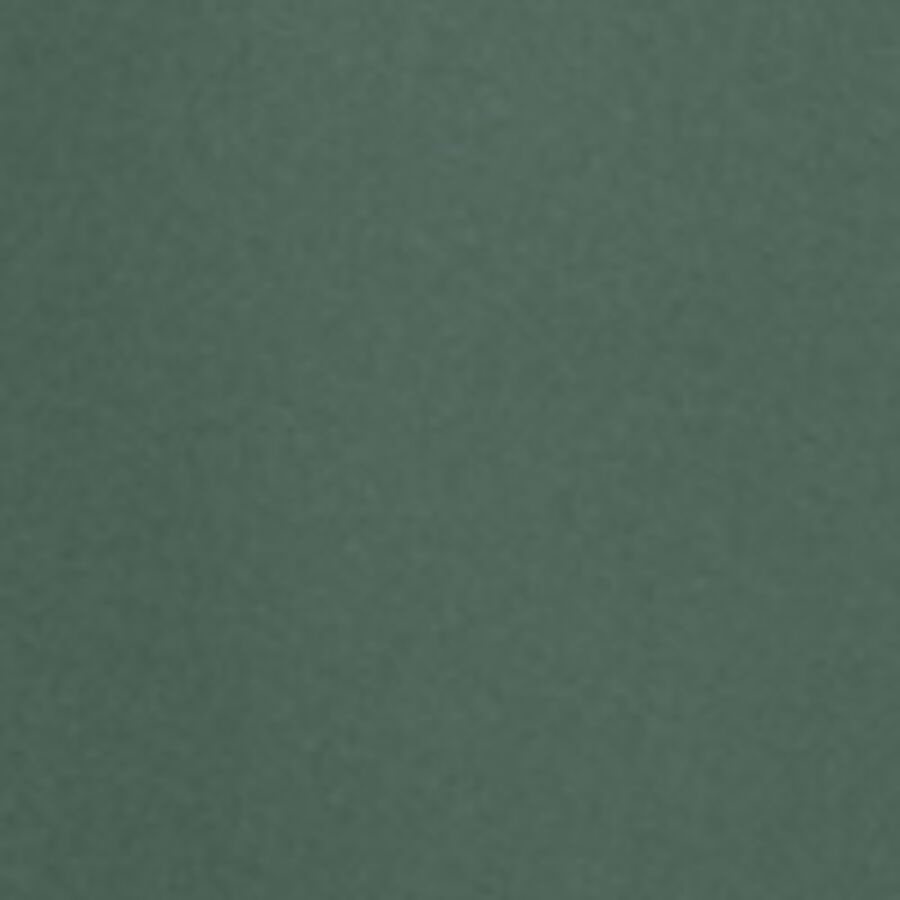 Color swatch