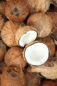 The Body Shop Gel de Ducha Cremoso de Coco 250 ml