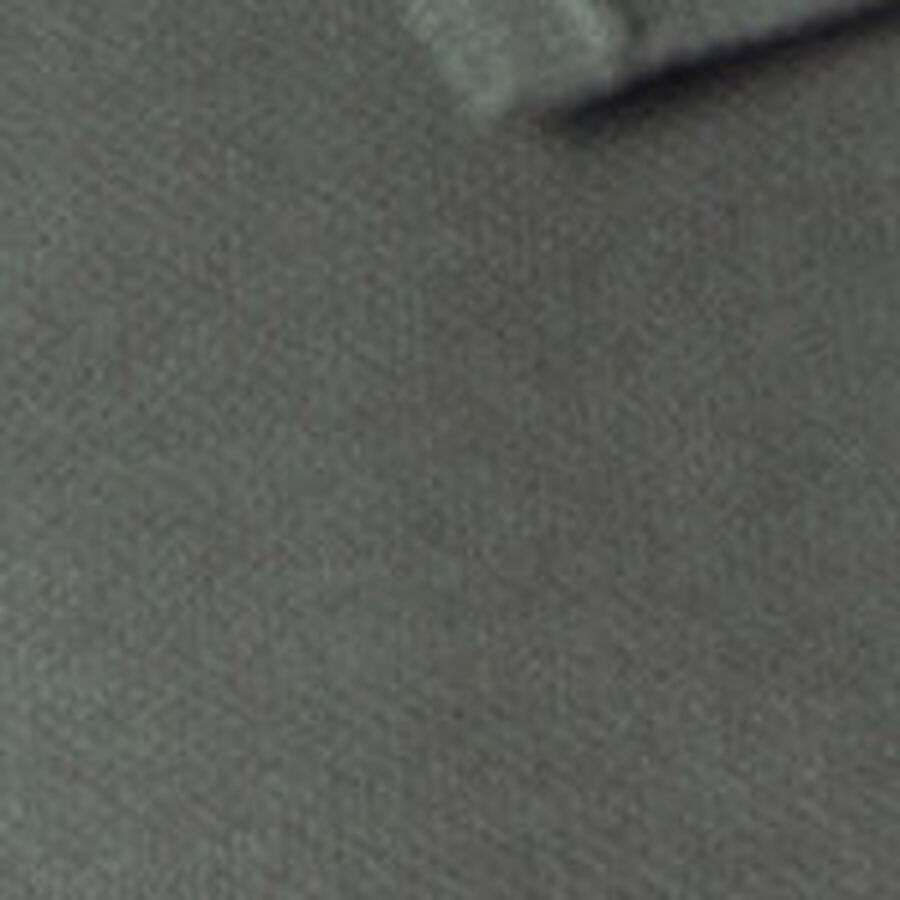 Color swatch