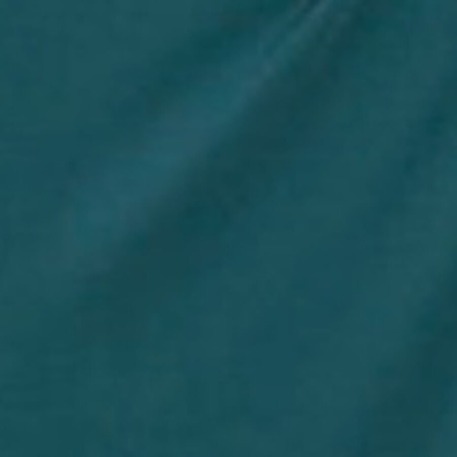 Color swatch
