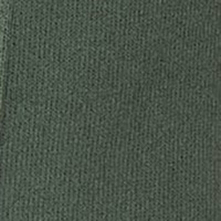 Color swatch