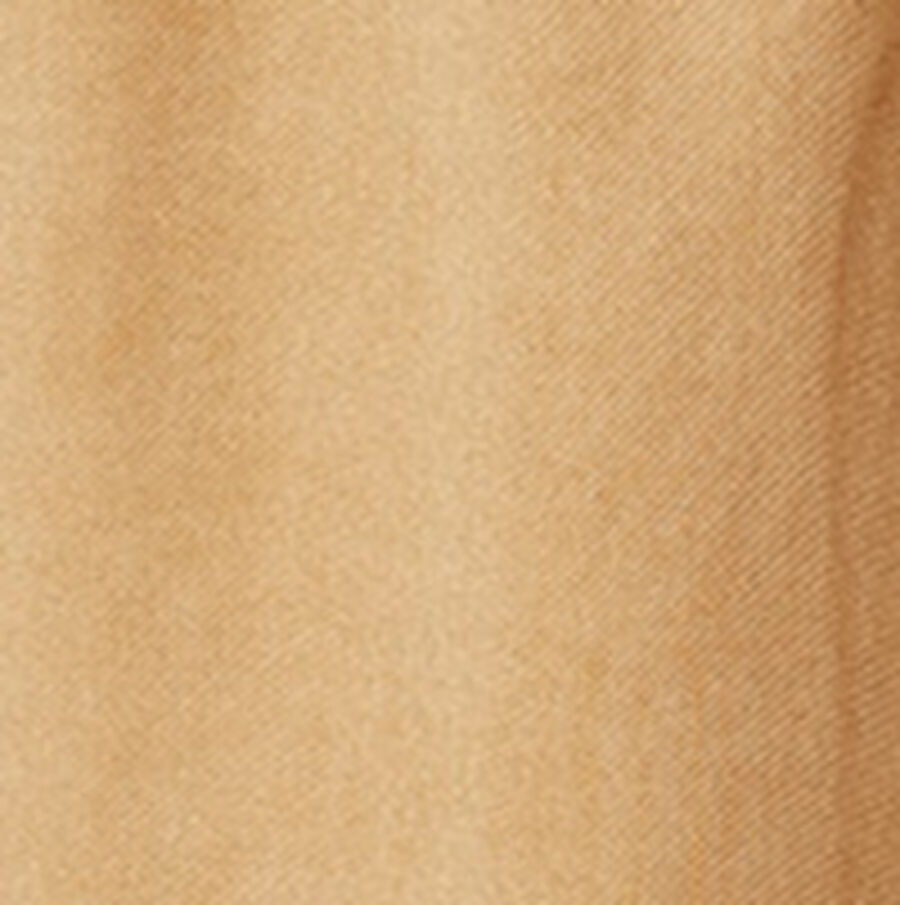 Color swatch