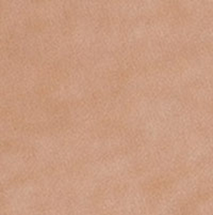 Color swatch