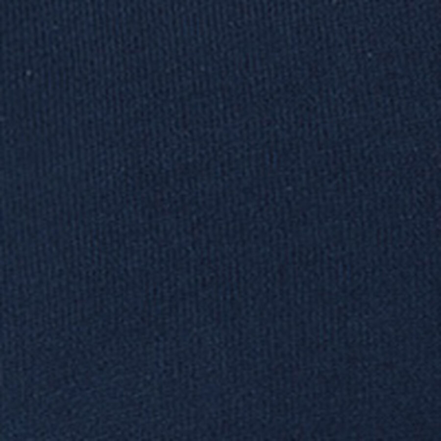 Color swatch
