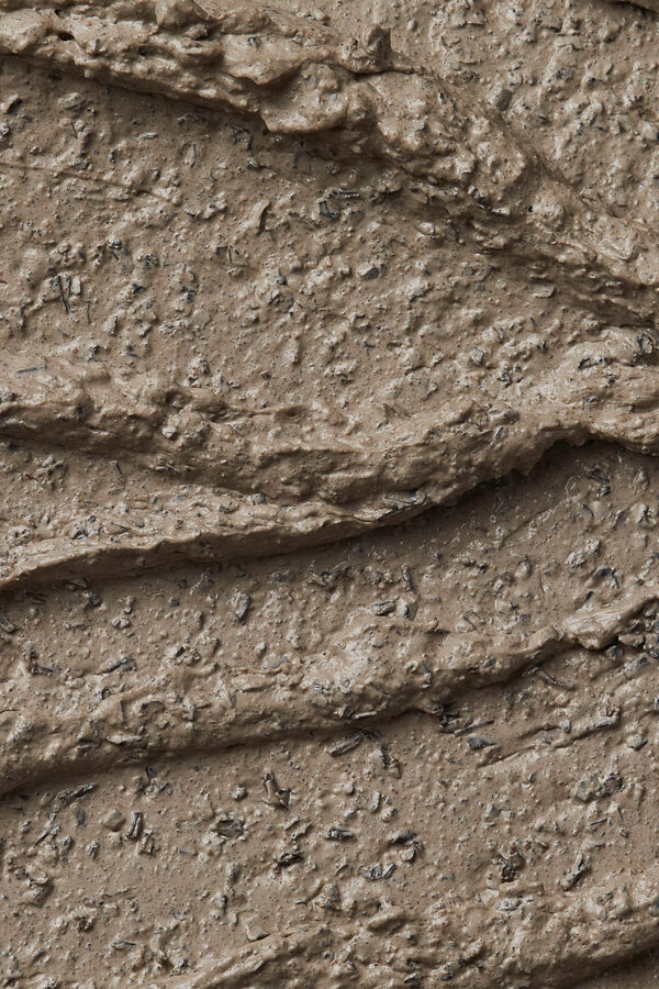 The Body Shop Mascarilla Cuidado Experto Purificante de Carb&oacute;n del Himalaya Multicolor