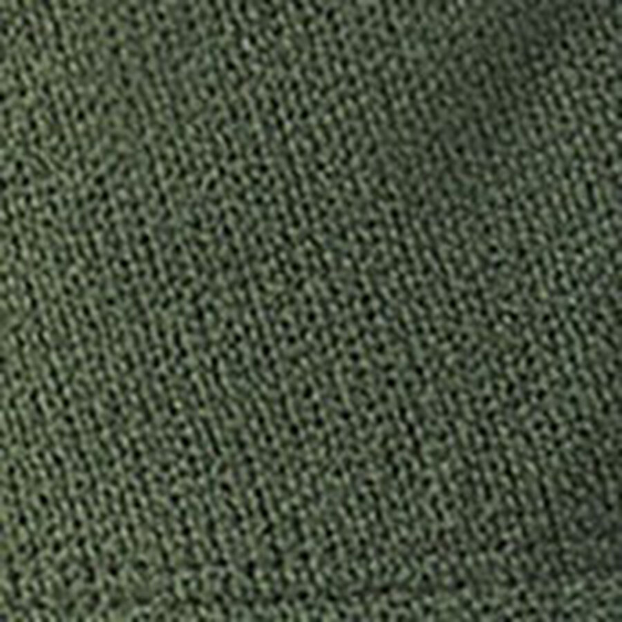 Color swatch