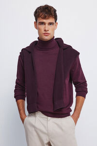 Springfield Basic high neck jumper