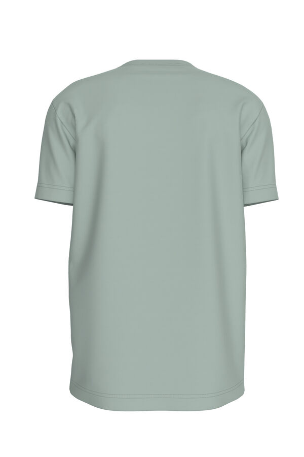Springfield Men's short-sleeved T-shirt grey