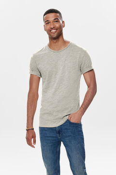 Springfield Short-sleeved T-shirt gray