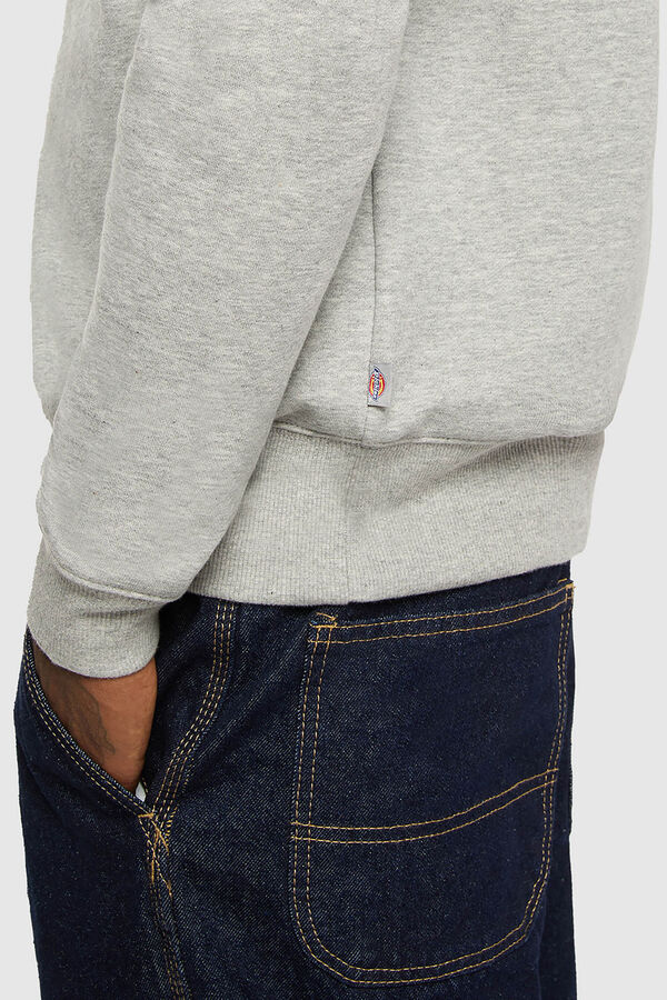 Dickies Sudadera The Oakport gris