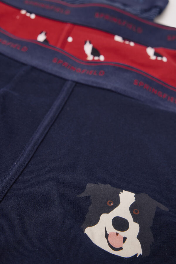 Springfield Pakovanje od 5 pari pamučnih bokserica sa dezenom Crvena