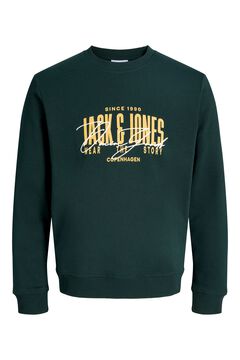 Jack & Jones Sudadera regular estampada