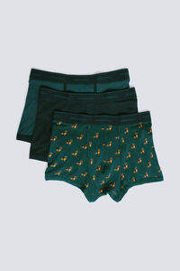 Springfield Pacote com 3 cães boxer e riscas