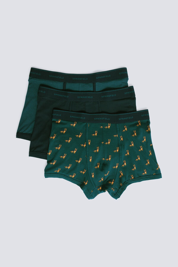Springfield Pack of 3 boxer dogs and striped green