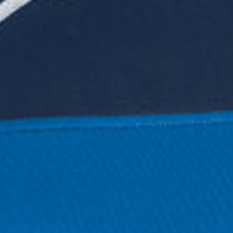 Color swatch