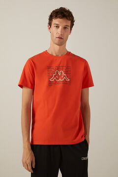 Springfield Camiseta de manga corta y cuello redondo naranja