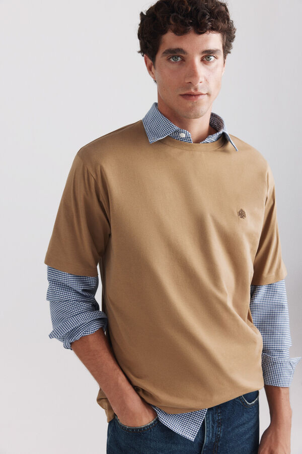 Springfield Springfield logo basic T-shirt brown