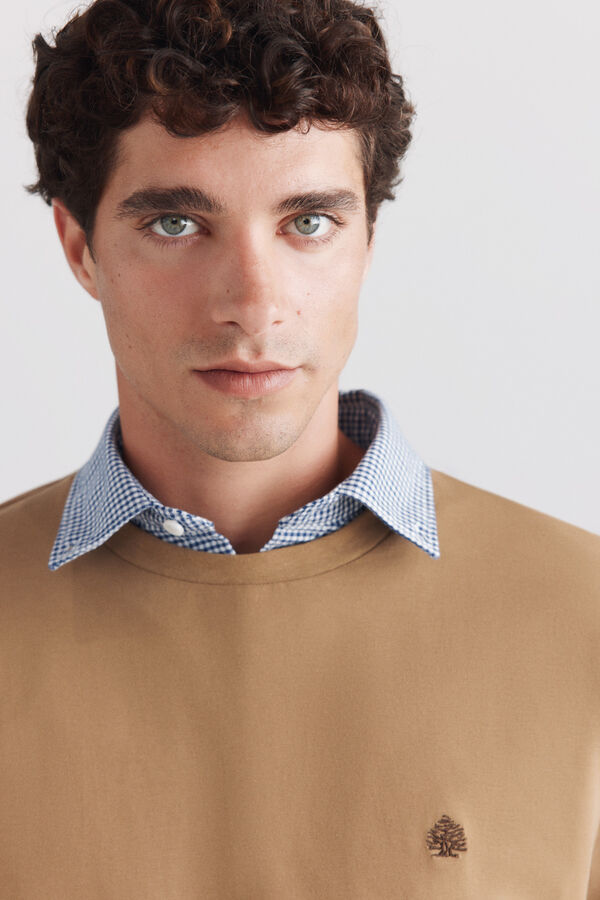Springfield Springfield logo basic T-shirt brown