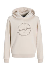 Jack & Jones Junior Sudadera con capucha felpa gris