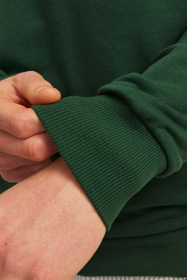Springfield Standard sweatshirt green