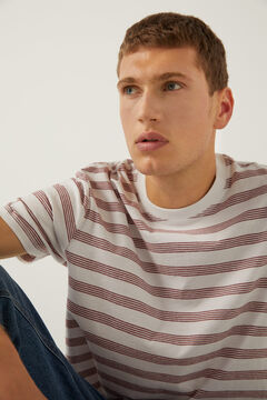 Springfield T-shirt riscas cochonilha