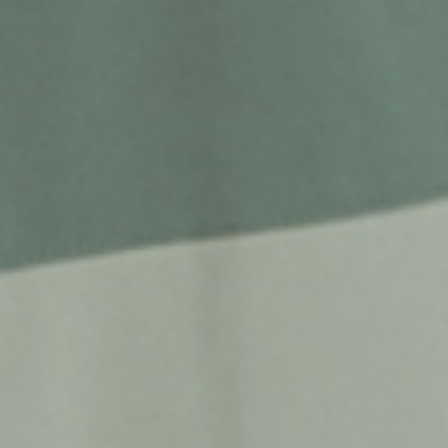 Color swatch