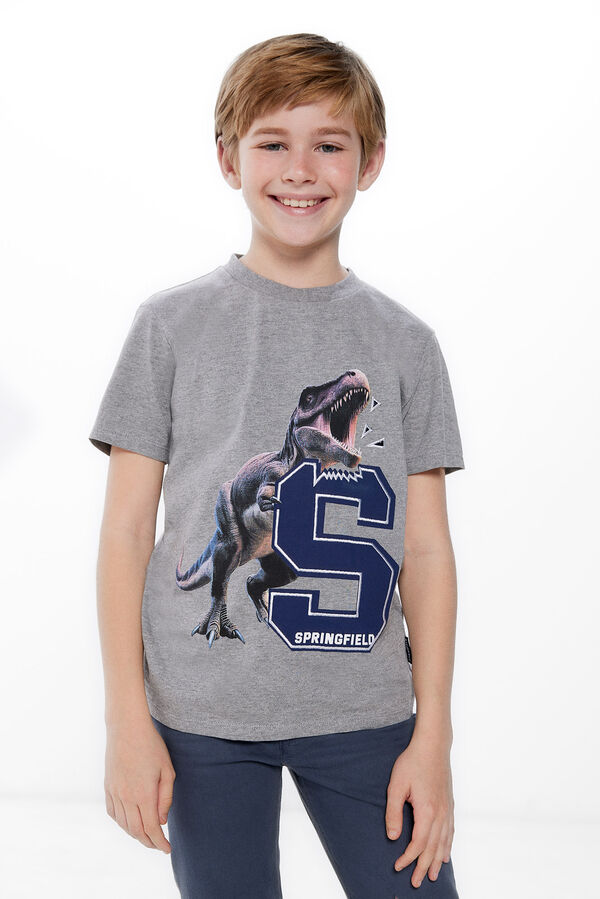 Springfield Boys' dinosaur print T-shirt Siva