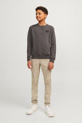 Jack & Jones Junior Pantal&oacute;n cargo slim gris