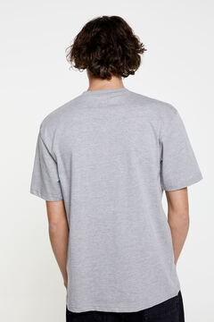 Springfield T-shirt with tricolour logo  gray