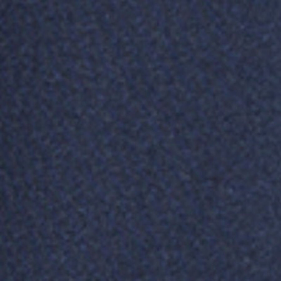Color swatch