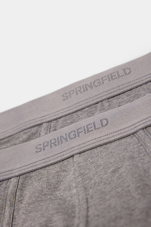 Springfield Packs 2 slips básicos gris oscuro