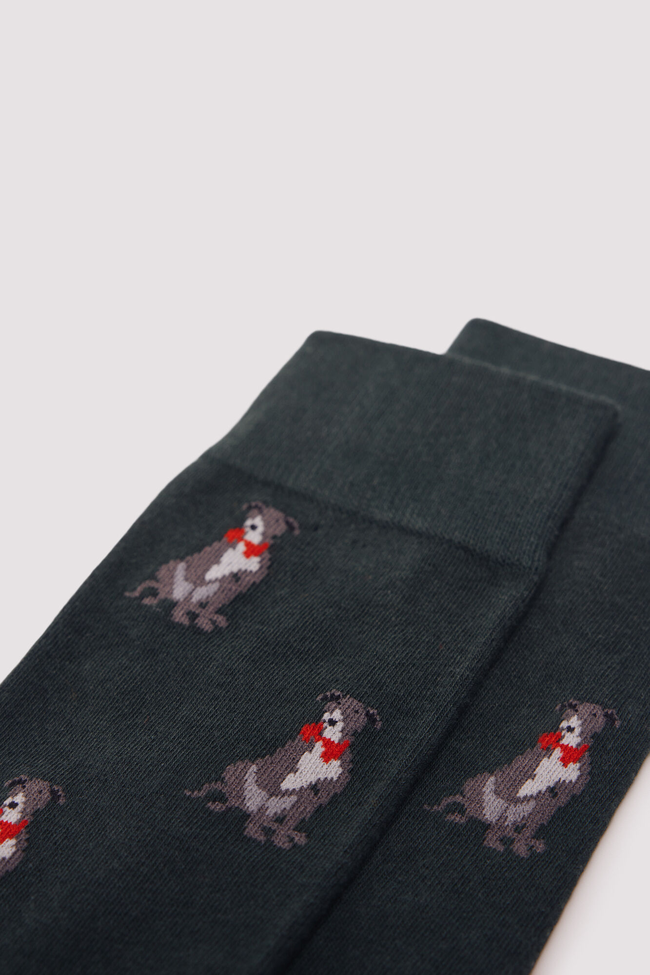 Springfield Greyhound cotton sock