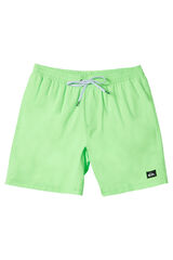 Springfield Everyday Solid Volley 15" - Swim shorts for men green