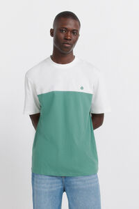 Springfield T-shirt bloco de cor