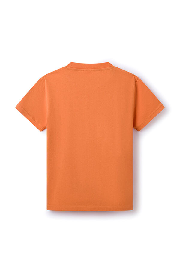 Springfield Majica logotip Springfield za dečake narandžasta