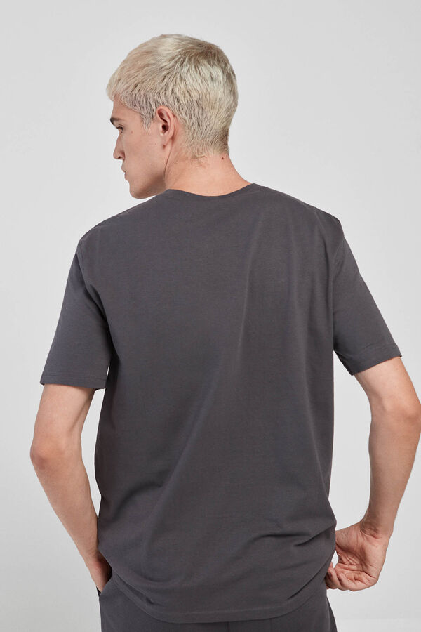 Springfield Herrenshirt - Champion Legacy Collection gris