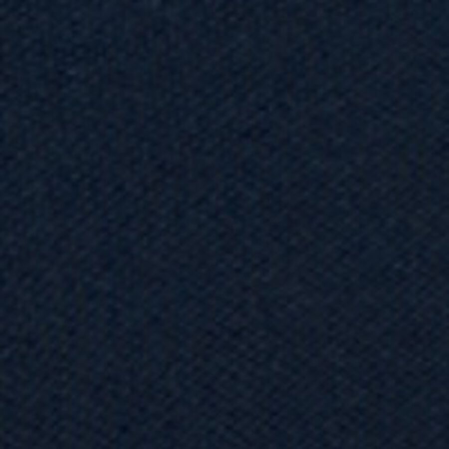 Color swatch
