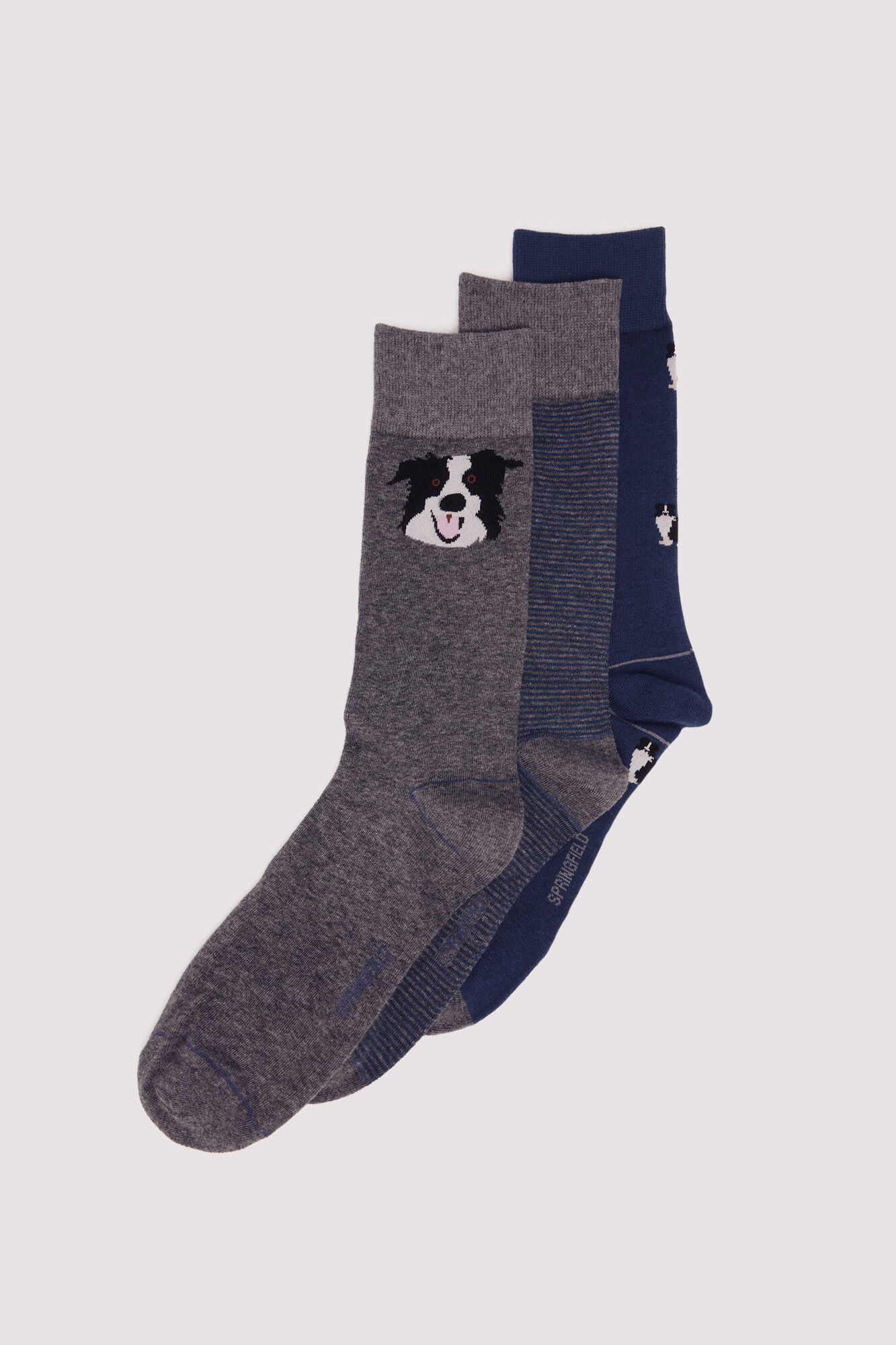 Springfield Lot 3 chaussettes coton chiens