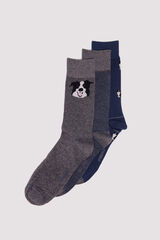 Springfield 3-pack cotton dog print socks blue
