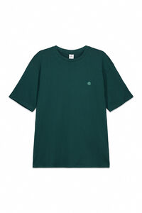 Springfield Springfield logo basic t-shirt