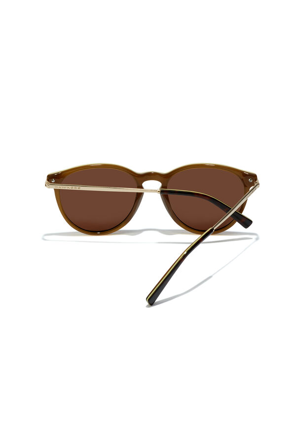Springfield Mark sunglasses - Polarised Carey Brown brown