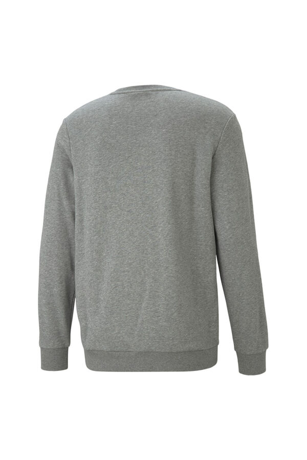 Springfield ESS Big Logo Crew TR sweatshirt  gray