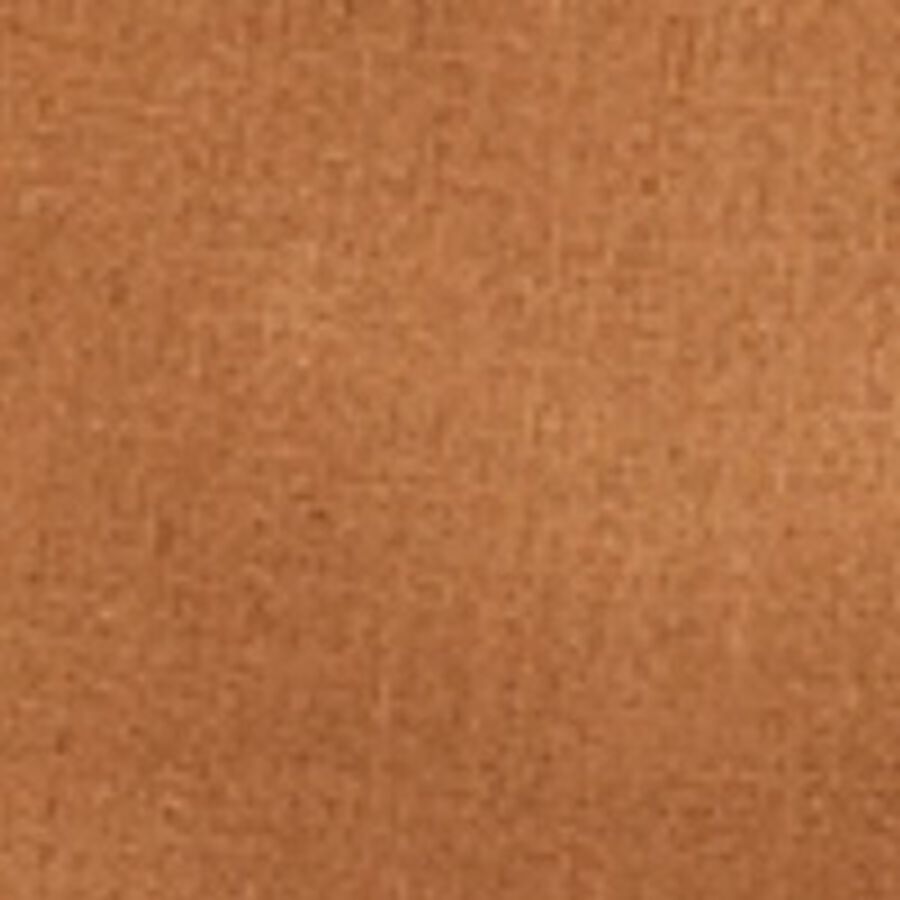 Color swatch