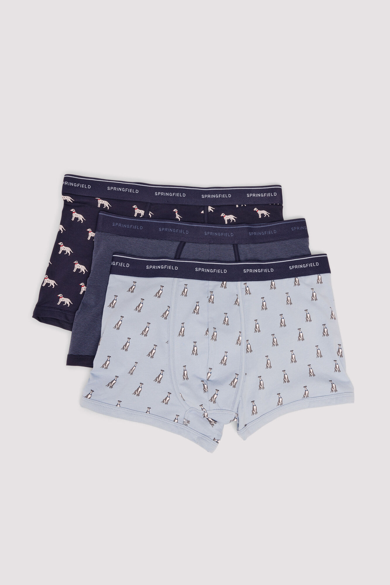 Springfield Pack of 3 boxers for dogs