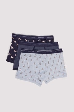 Springfield Pack of 3 boxers for dogs blue
