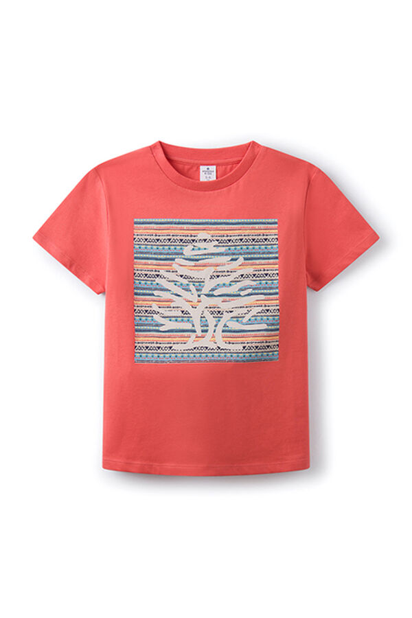 Springfield Boy's tree T-shirt ecru