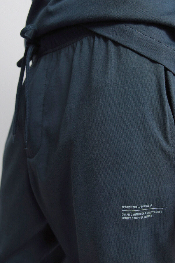 Springfield Osnovna duga pidžama Plava