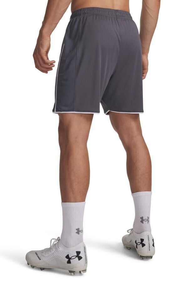 Under Armour Short trousers grey