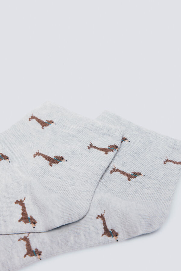 Springfield Meia curtas para cães cinzento